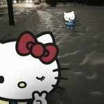Hello Kitty fanss group