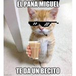 el goto army