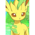Pokemon fan group and others
