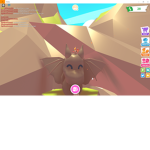 the coo coo