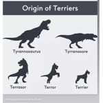 Dogs and dinosaurs are friends
