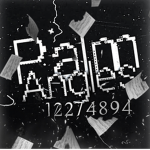 ｸPalm Angles