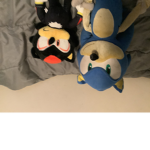 Sonic and shadow fan sonic