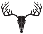 Deer Skull Studios
