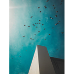 Group Thumbnail