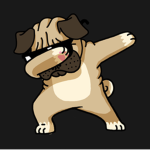 The Team Pug