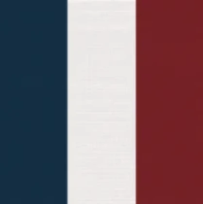 Deuxième Empire Français. Roblox group icon