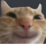 The Gamin Bois