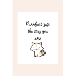 Cat Friendly Club