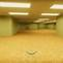 backrooms