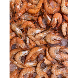 SHRIMP UNITED CENTER