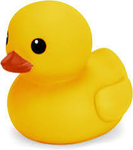 Duckoo!