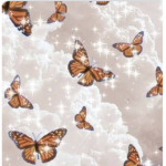 crystalViviR