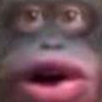Find the Monke's Official