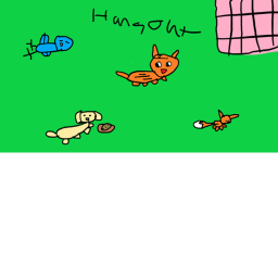 the animals hang out