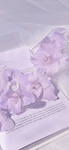 Aesthetic forever fan group