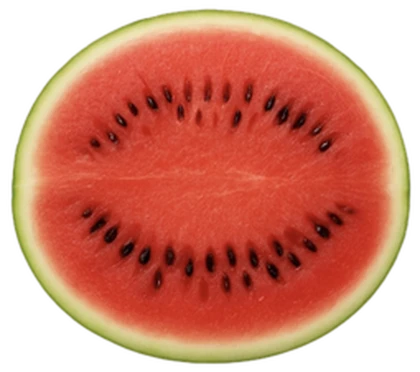 Happy Picnic Studio Roblox group icon