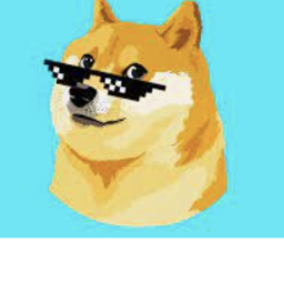 doge land