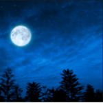 Moon International Airways