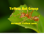 Yellow Ant Group