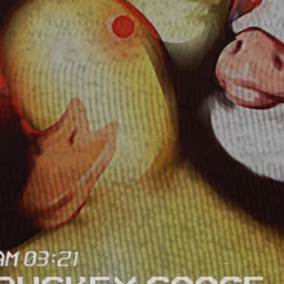 Duckey Goose Beta icon