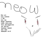 dhm cat boys/girls