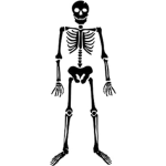 Skellytons