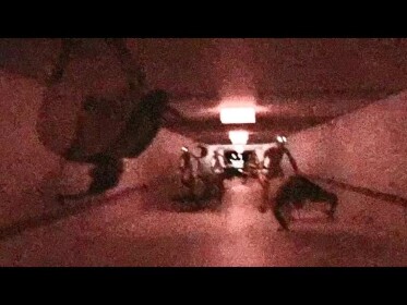 Level !: "RUN FOR YOUR LIFE"
