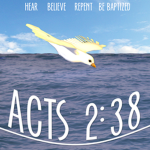 The Apostles Doctrine of the Lord Jesus Christ