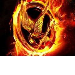 Hunger Games Arena