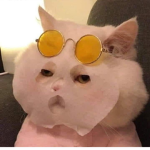 Catty=kitty
