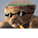 OfficialLionClan