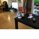 Foxy und Freddy
