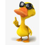 Duckie Family
