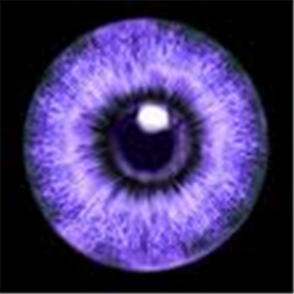 purple Roblox decal