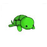The Turtle Evolution