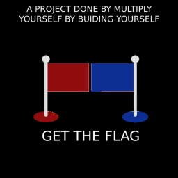 Get The Flag