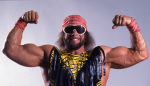 macho boys