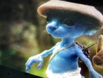 Smurf cat we love we lie