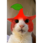 wewawoowe