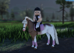 Strideway Stable's riding school