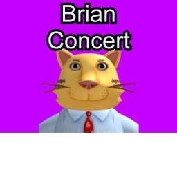 Brian Concert