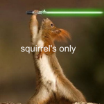 squirrel's canyon