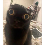 Mukameka