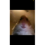 Meme meme me