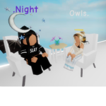 .NightOwls.