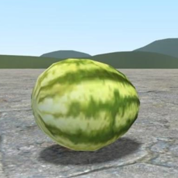 THE EPIC WATERMELON OBBY!!!