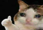 kingdom of lol cat