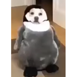jd