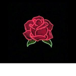 Rose s